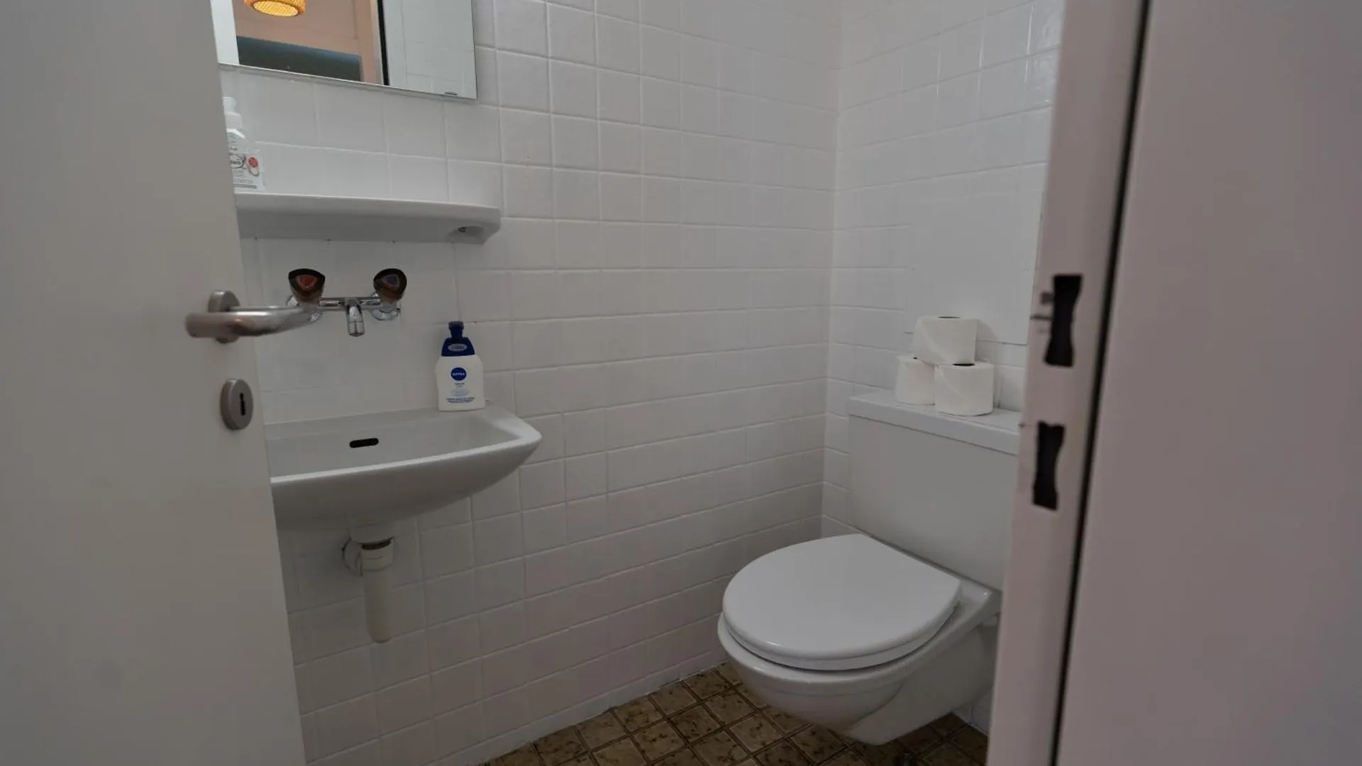 Penthouse Rooftop Loft, 190Sq, Panorama View, 1Min To Main Station- 5Min To City Basel 0*,