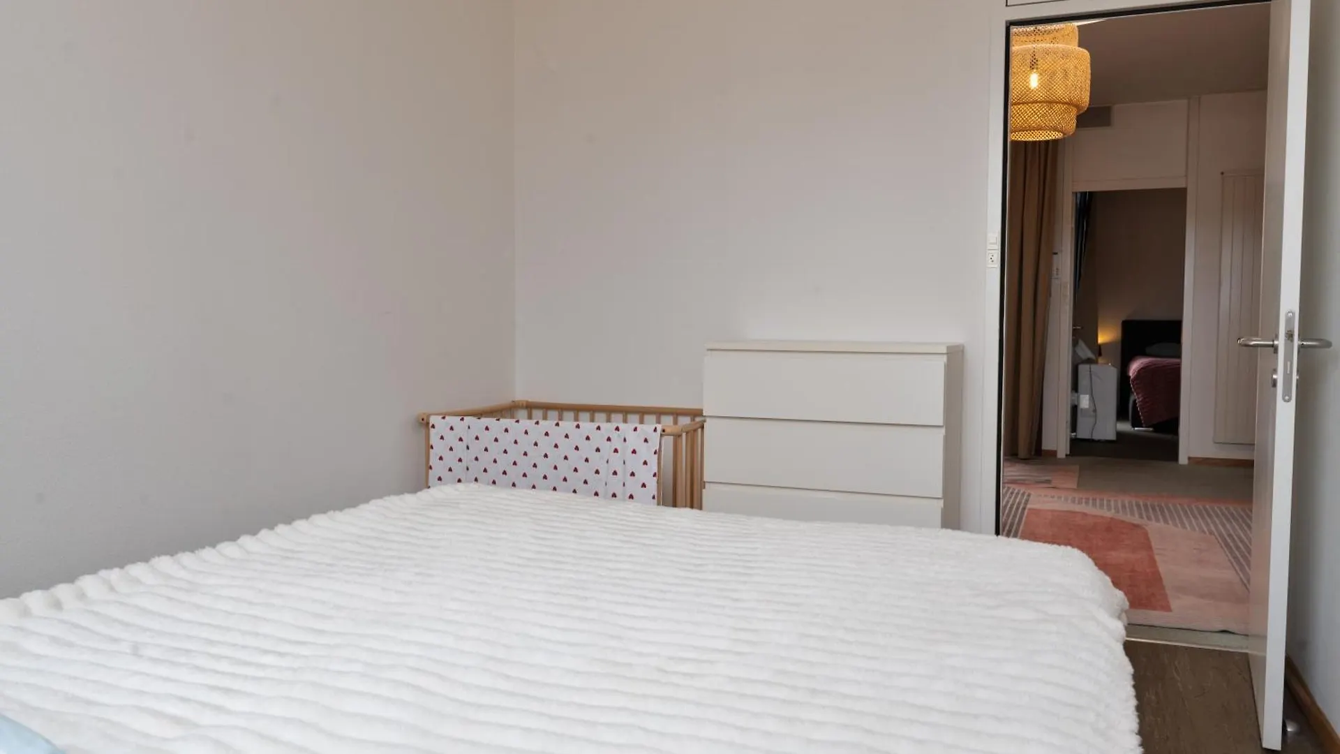 Penthouse Rooftop Loft, 190Sq, Panorama View, 1Min To Main Station- 5Min To City Basel 0*,  Switzerland