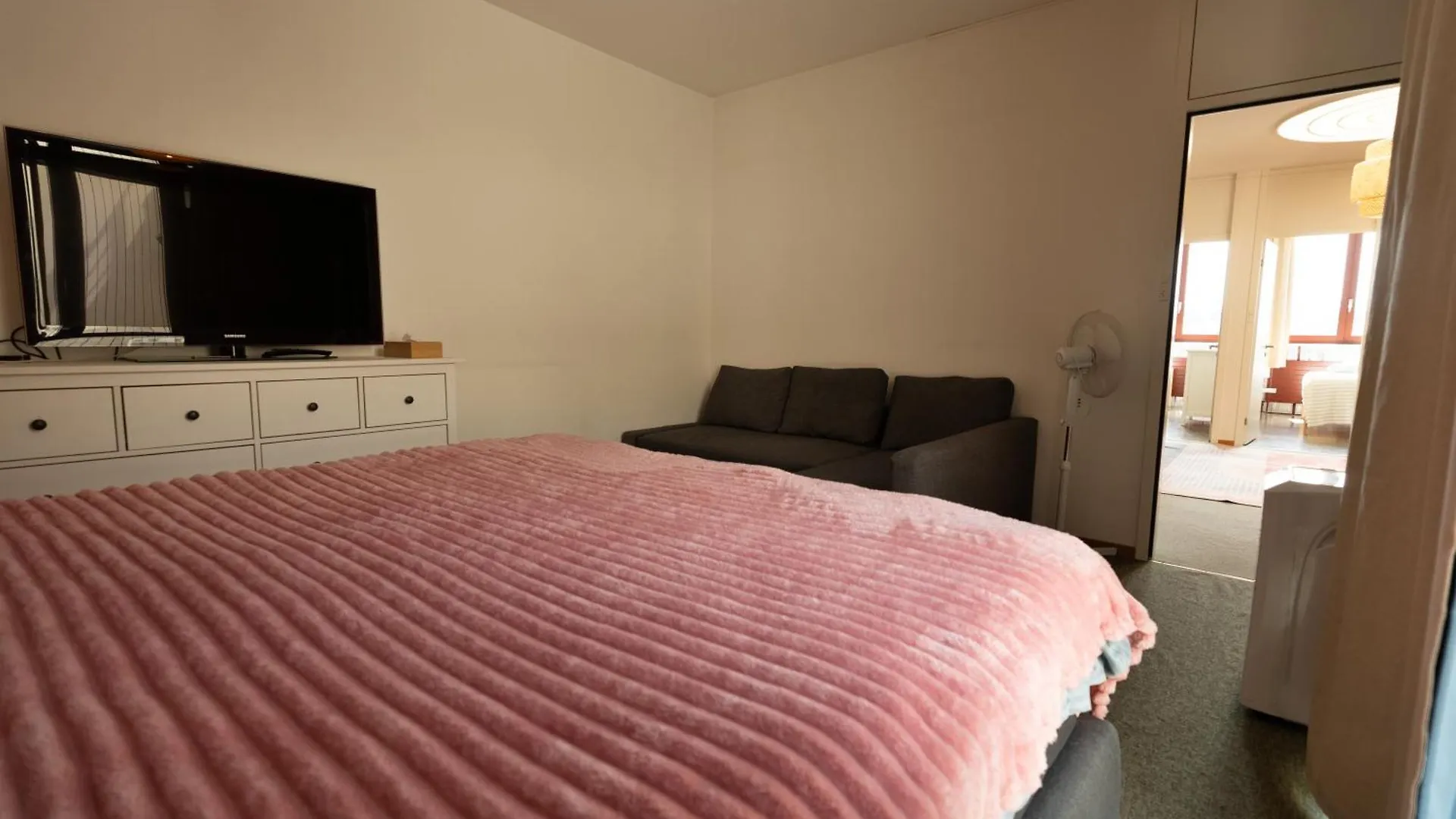 Apartment Penthouse Rooftop Loft, 190Sq, Panorama View, 1Min To Main Station- 5Min To City Basel Switzerland