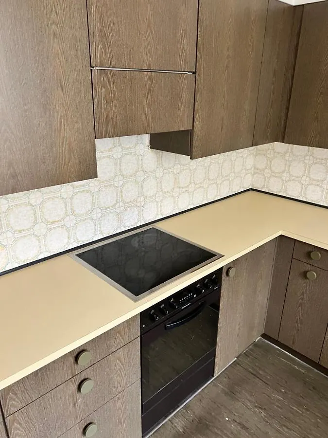 Penthouse Rooftop Loft, 190Sq, Panorama View, 1Min To Main Station- 5Min To City Bâle 0*,